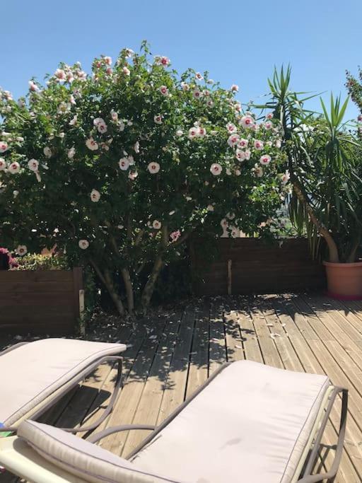 Appartement Sur La Colline Avec Acces Piscine Volx Екстериор снимка